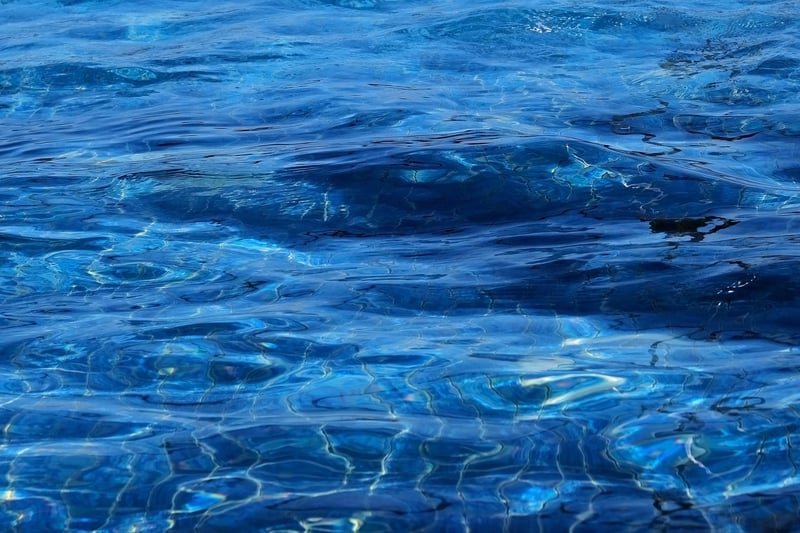 Fluid Movements